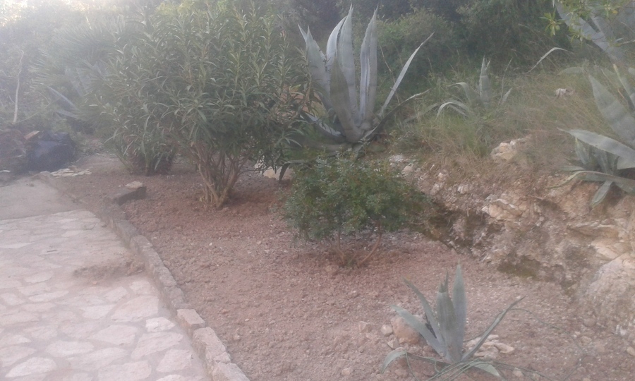LIMPIEZA DE JARDINES