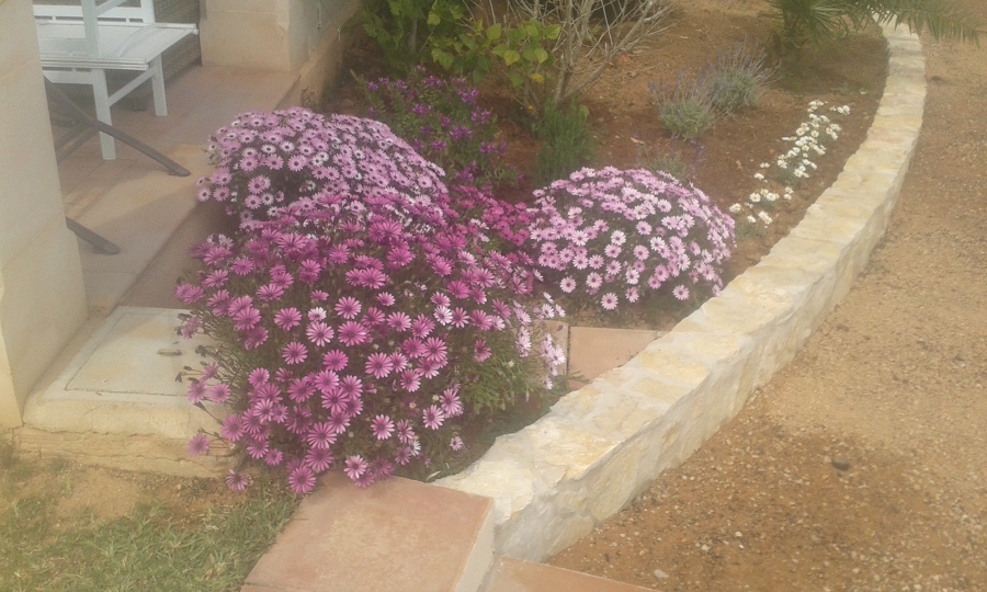 JARDINERIA