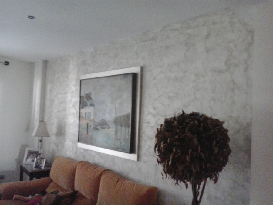 salon comedor