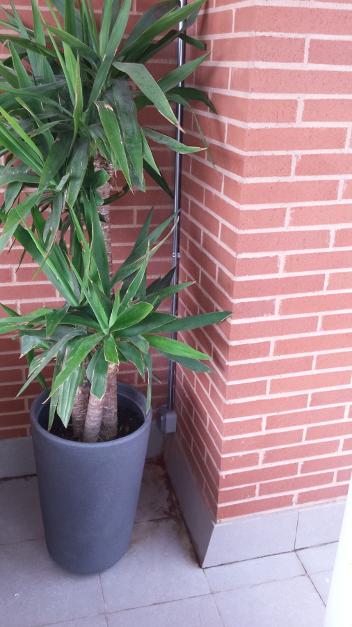 colocacion enchufes y tv en exterior