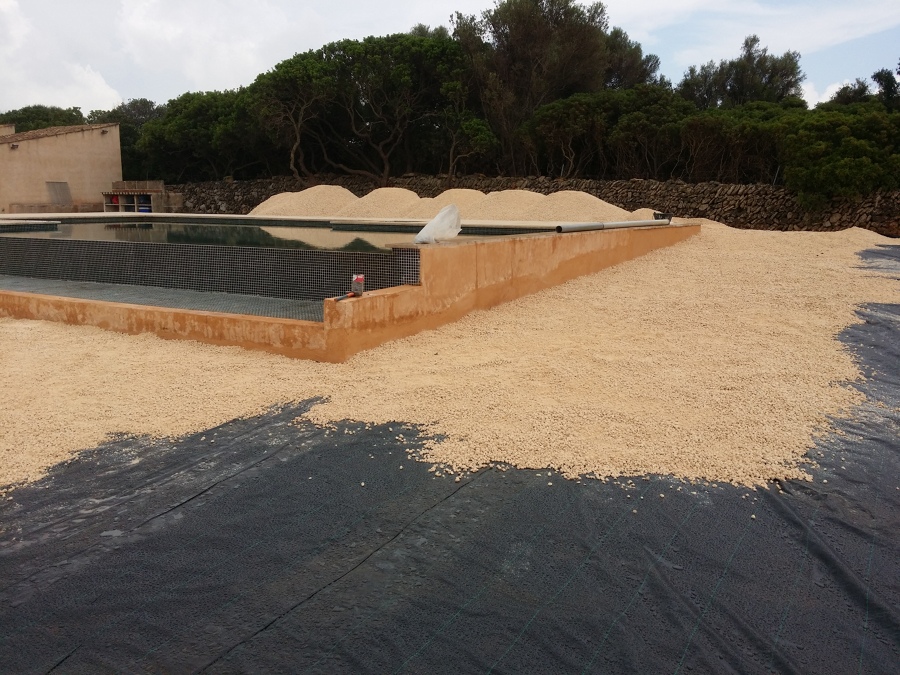 Piscina y alrededores