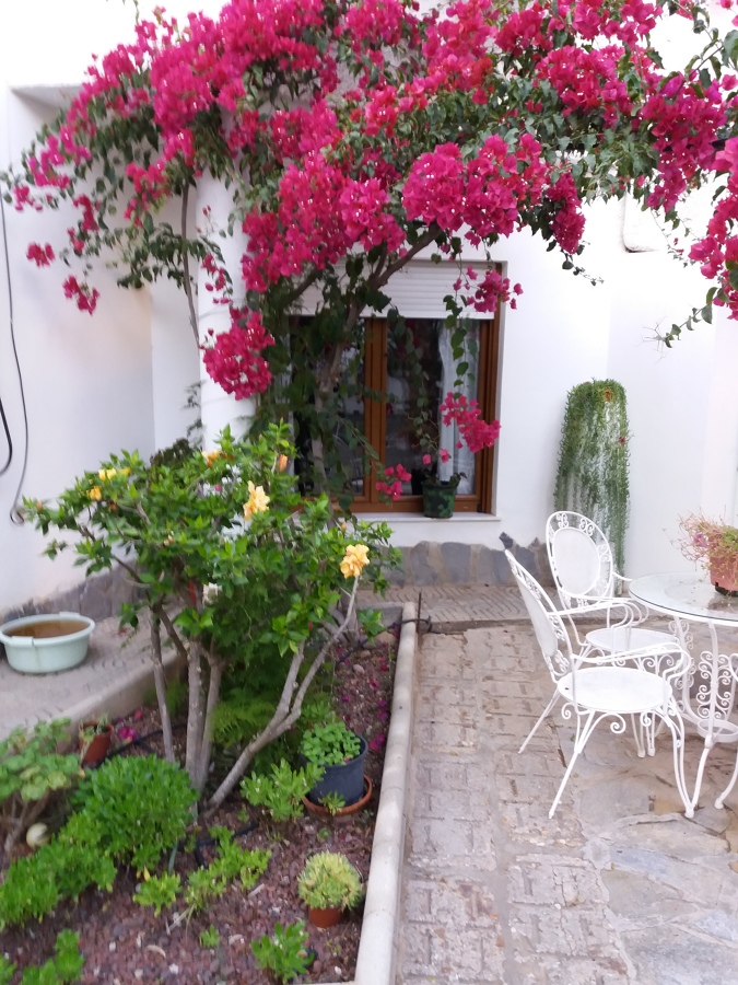 jardines
