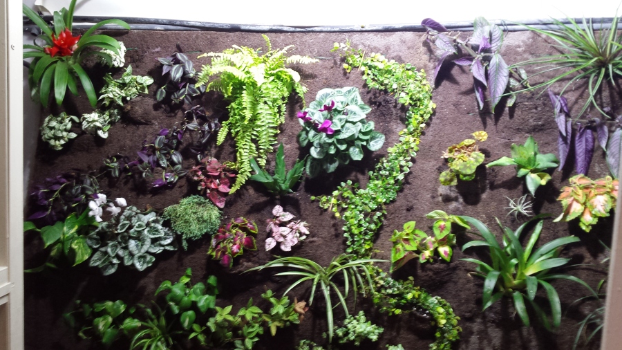 Jardin Vertical