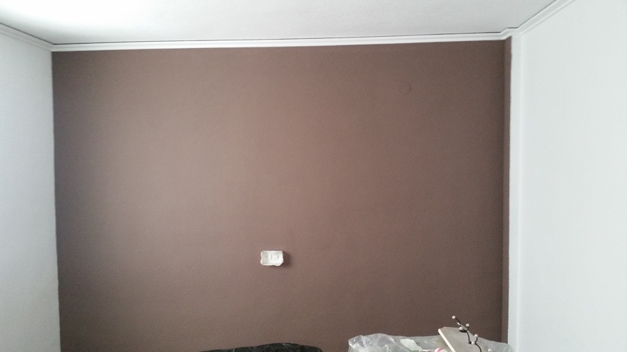 Pintura