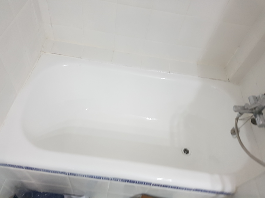 Pintamos su bañera