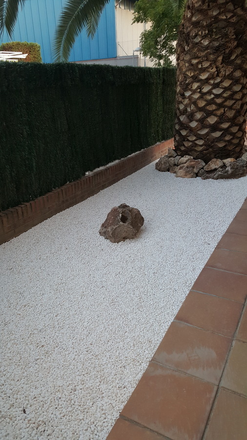 Árido