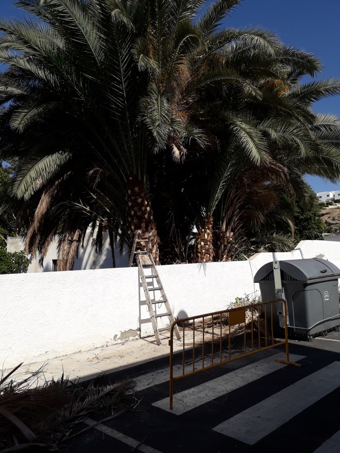 Jardinería