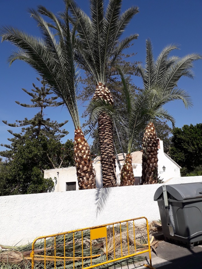 Jardinería