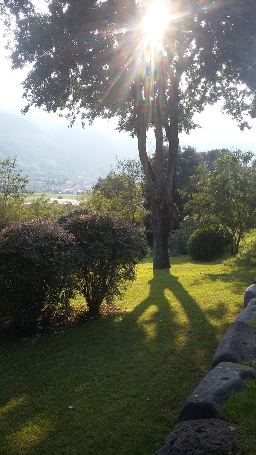 Jardín atardecer