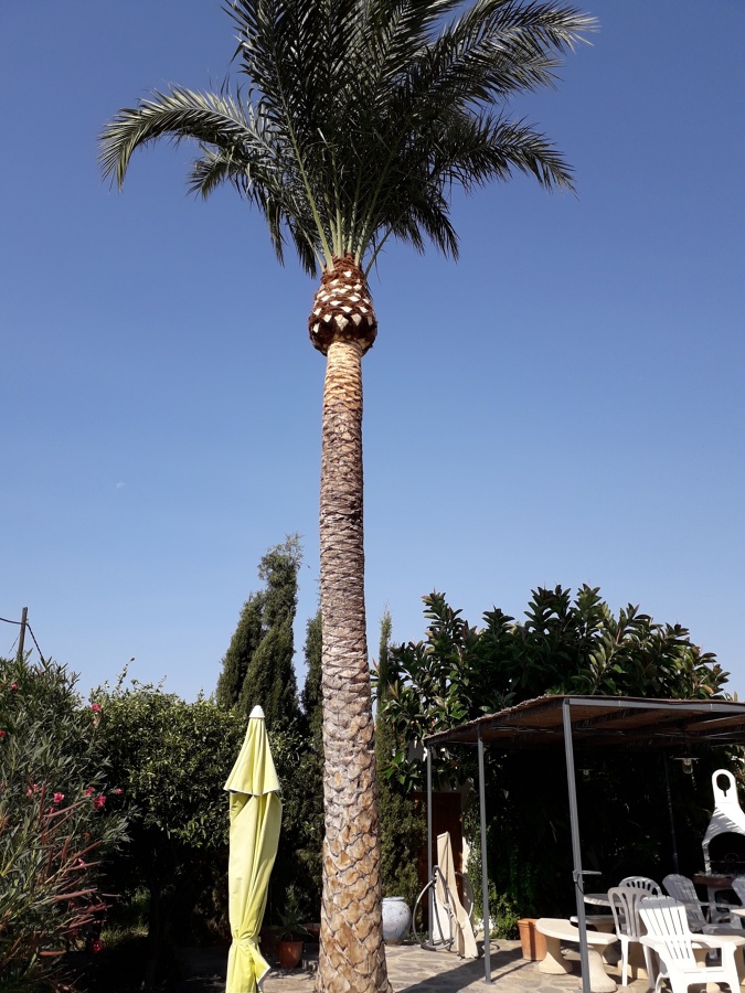 Jardinería