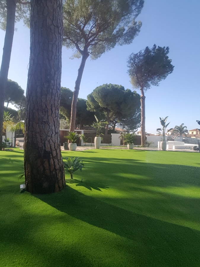 Jardin privado