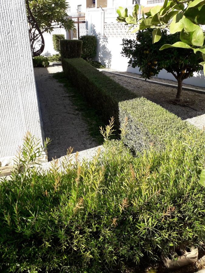 Jardinería