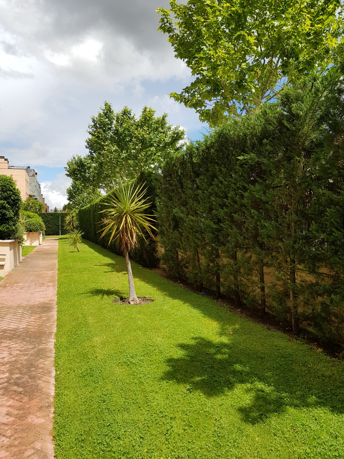 Jardin