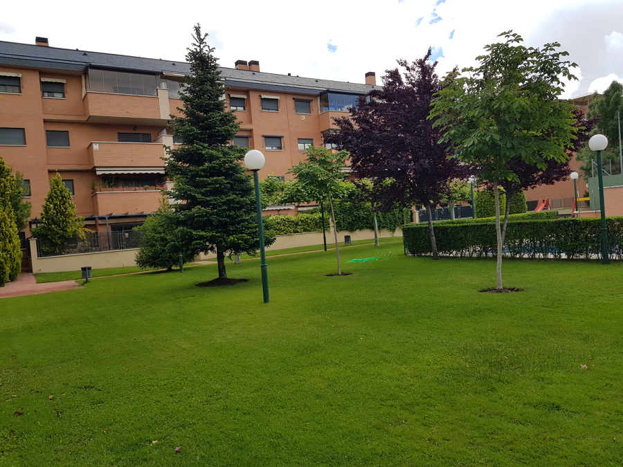 Jardín