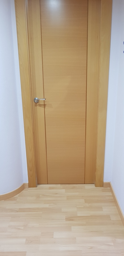 Puerta de haya lisa