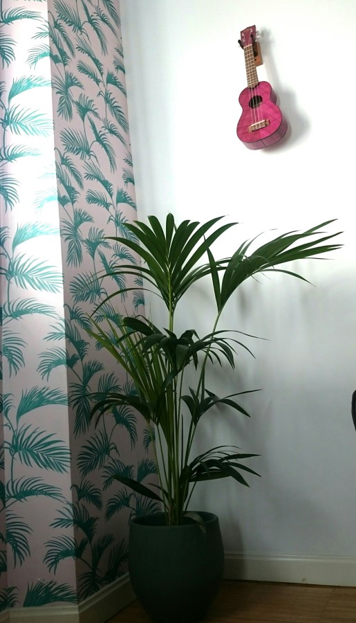 PAPEL TROPICAL