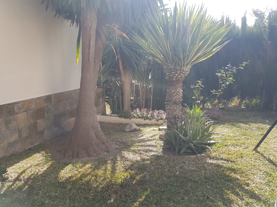 Zona ajardinada de otra de nuestras comunidades