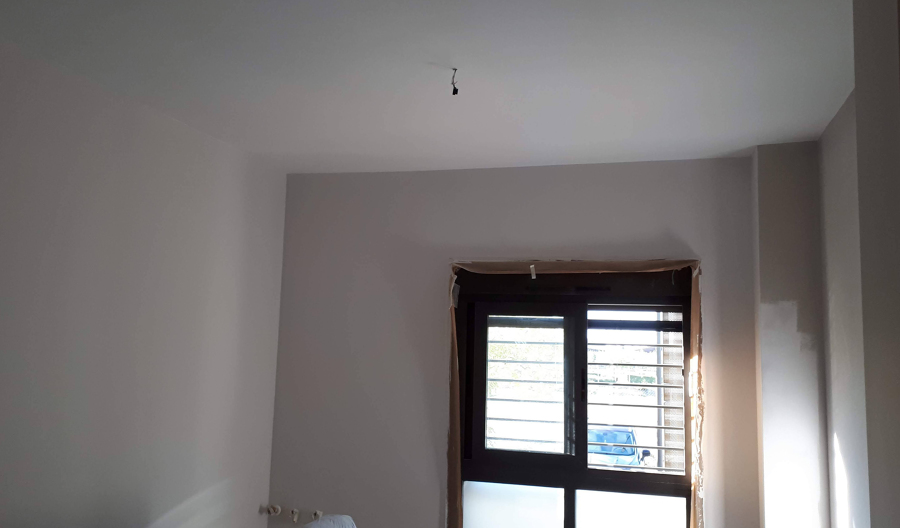 Renovacion