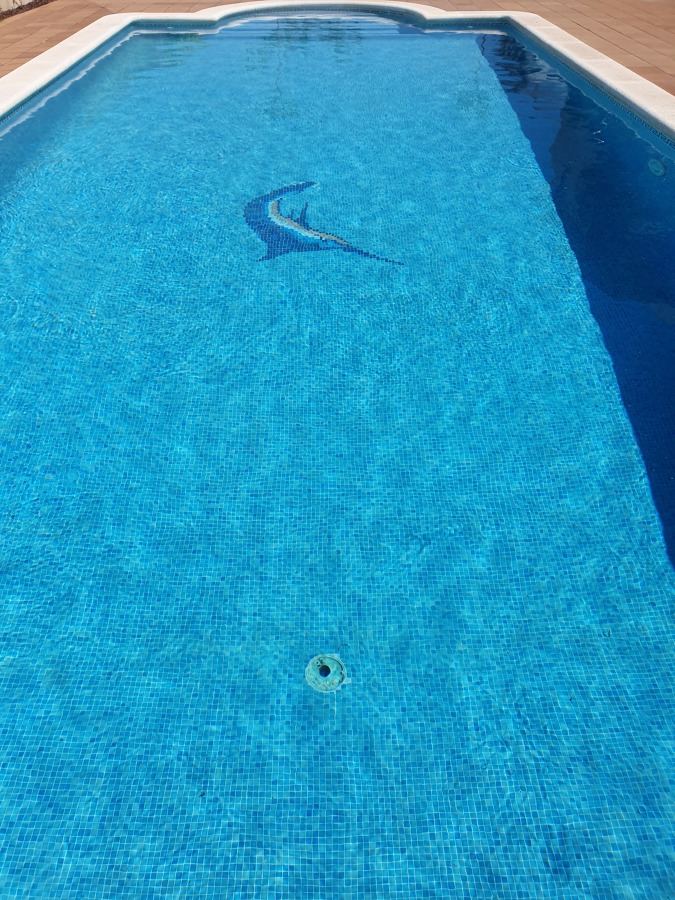Mantenimiento de piscinas