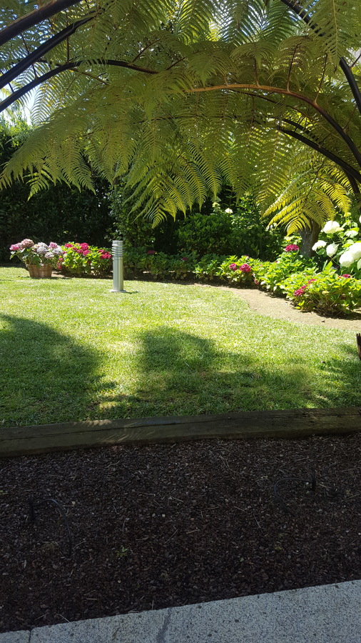 Renovación de parterre