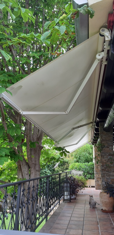 Toldo