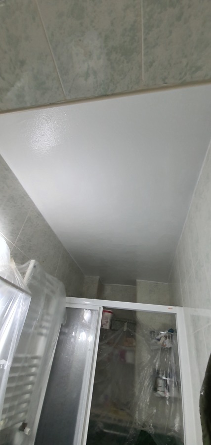 Pintura baños