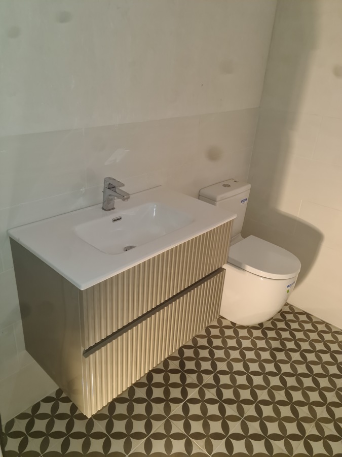 Instalacion de sanitarios