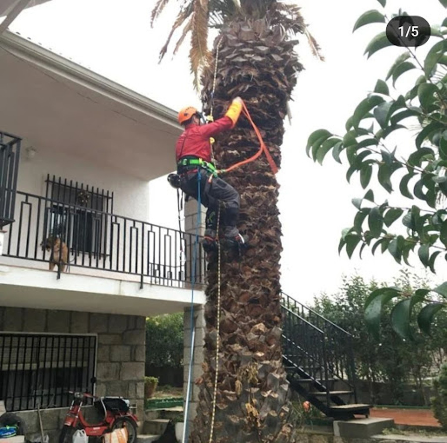 https://professionalpoda.com/