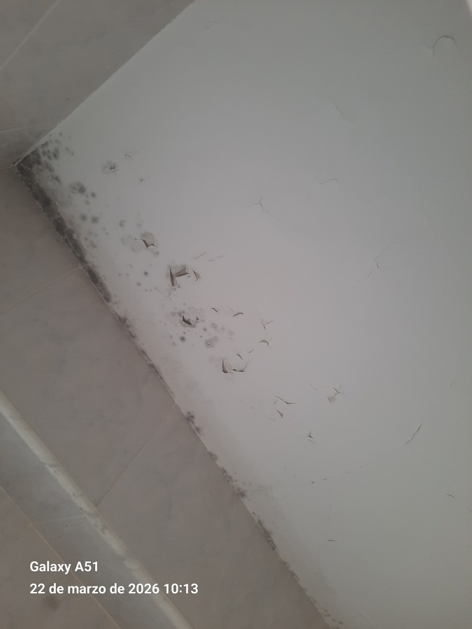 TECHO BAÑO