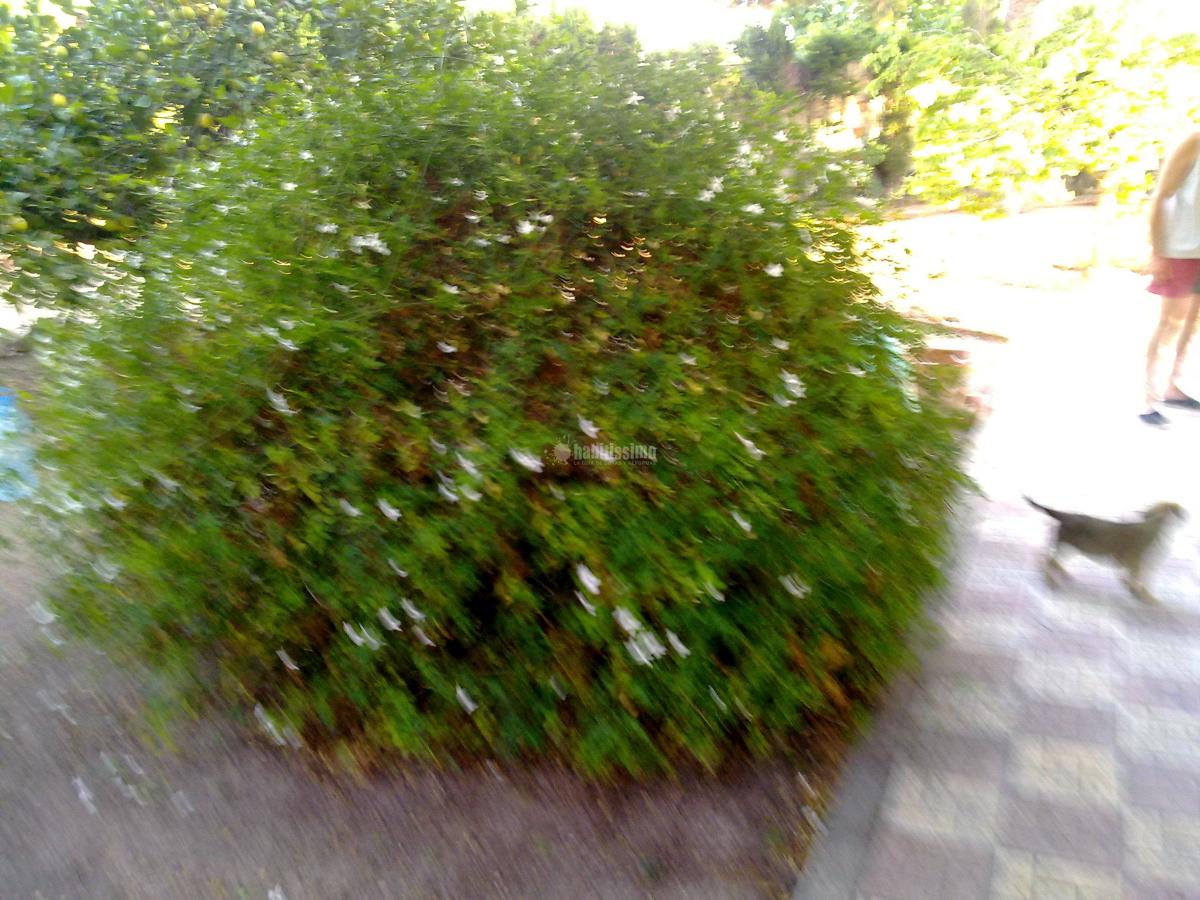 Jardineros