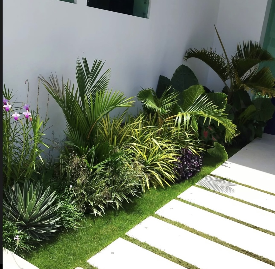 Jardin