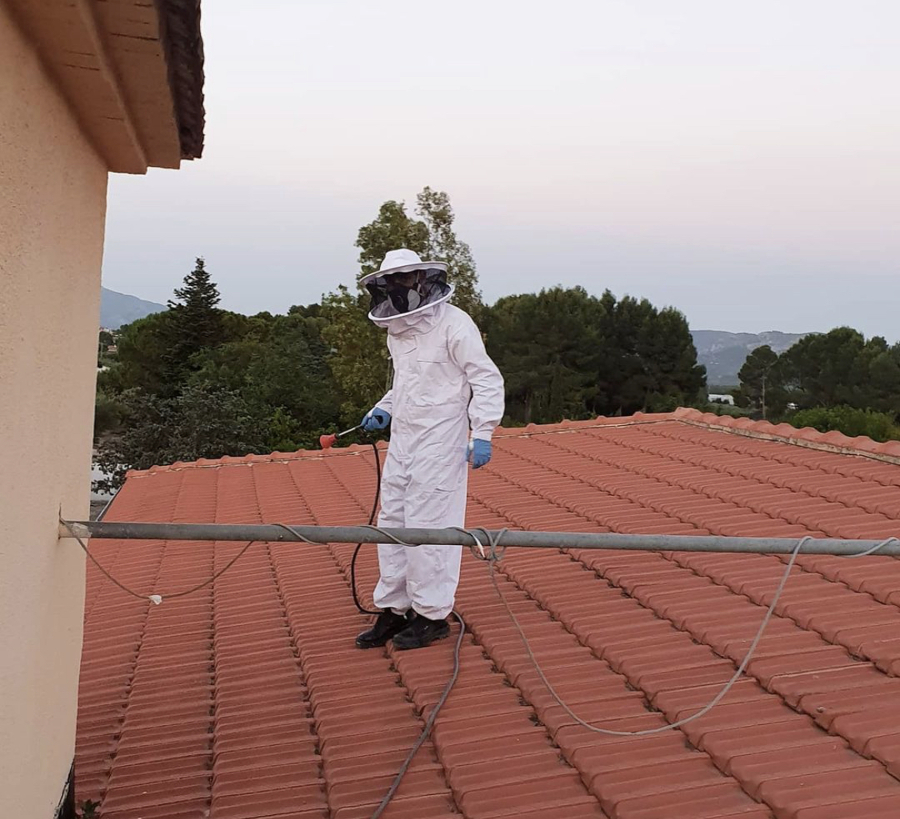 Tratamiento Avispas