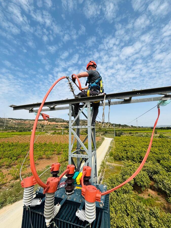 INSTALACIÓN DE SISTEMA DE PROTECCIÓN DE AVIFAUNA