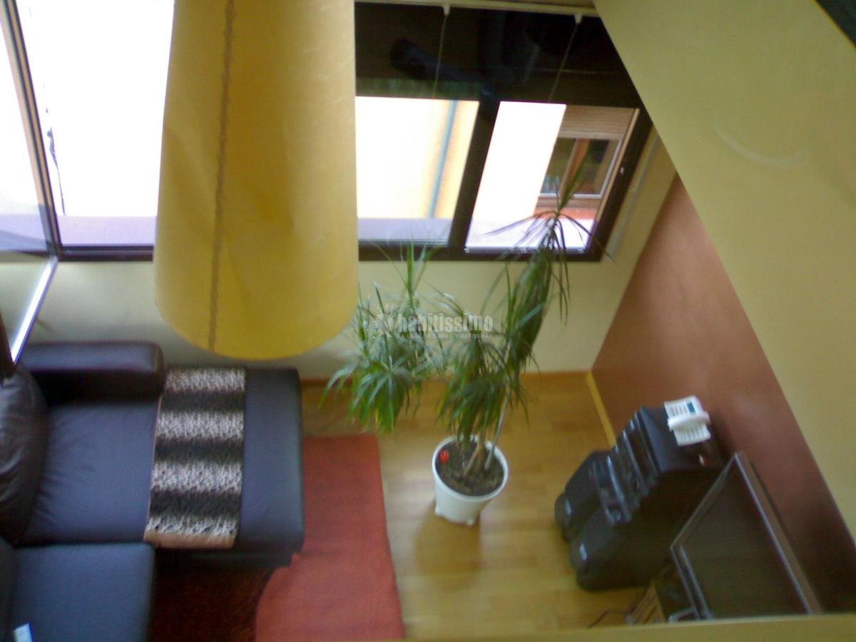 Pintores, Obras Menores, Artículos Decoración