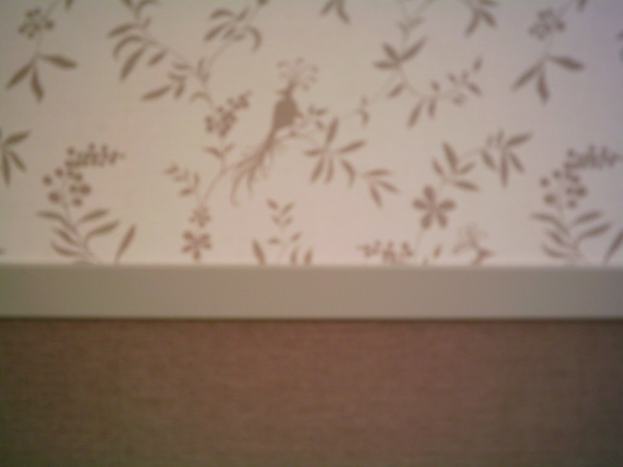 PAPEL Y MOQUETA.