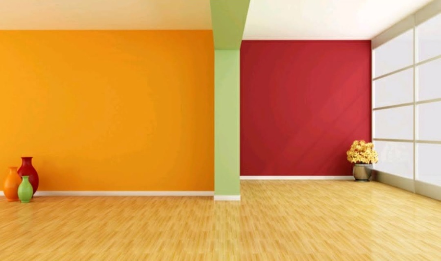 Colores vivos