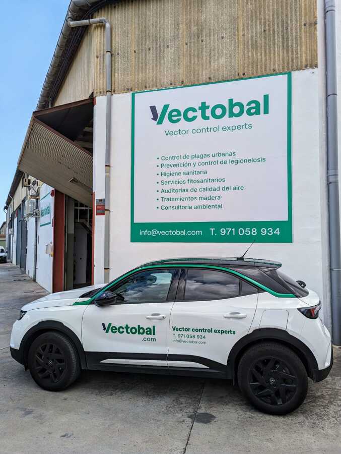 Nave Vectobal