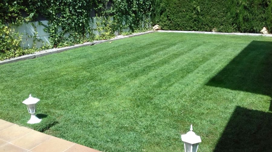 Jardin