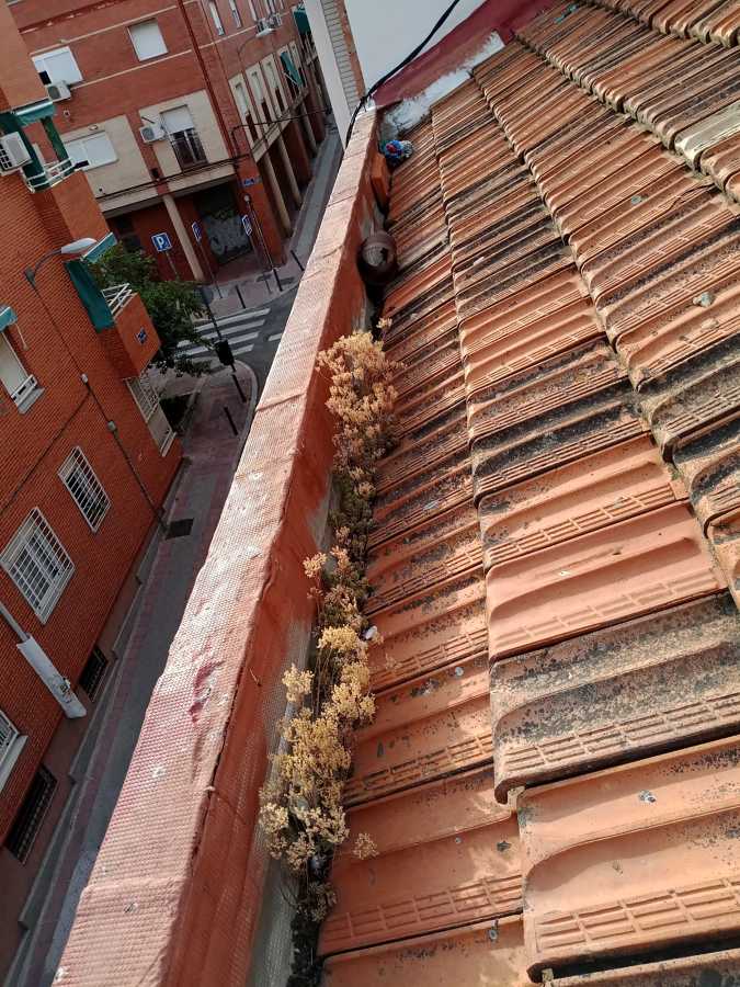 Mejoras en tejados (antes)