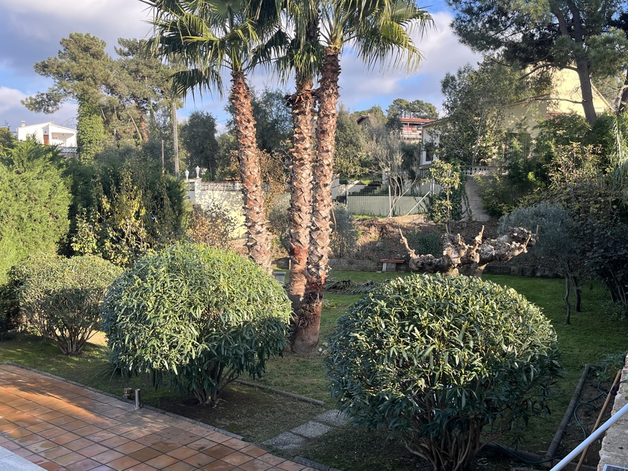 Jardin