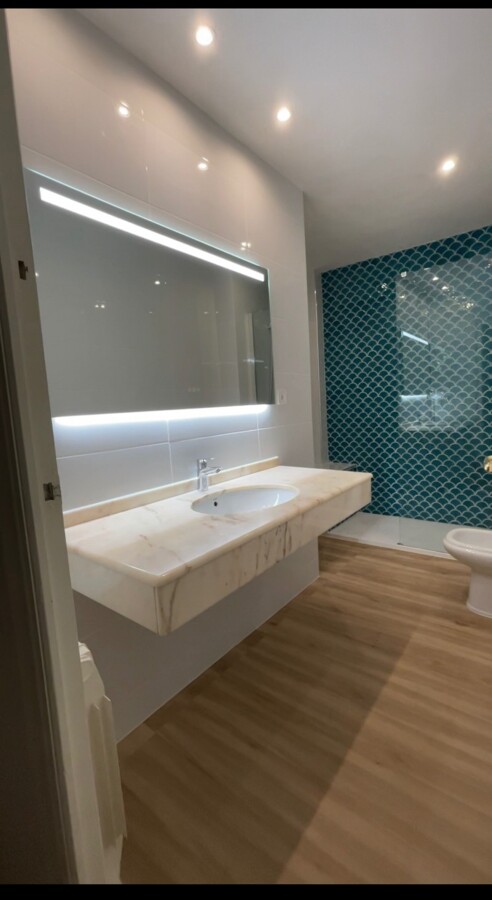 Diseño y ejecución de baño