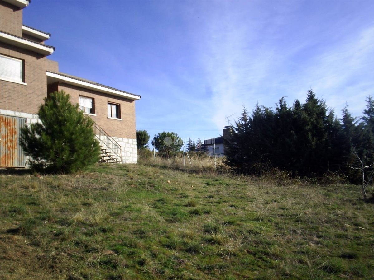 Desbroce de parcela