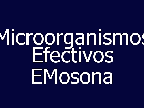 Impermeabilizaciones, Construcciones Reformas, Reforma