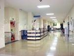 Limpieza, Control Plagas, Desinsectación
