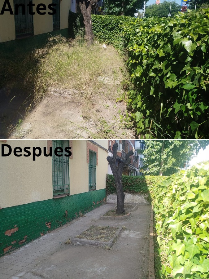 Trabajos