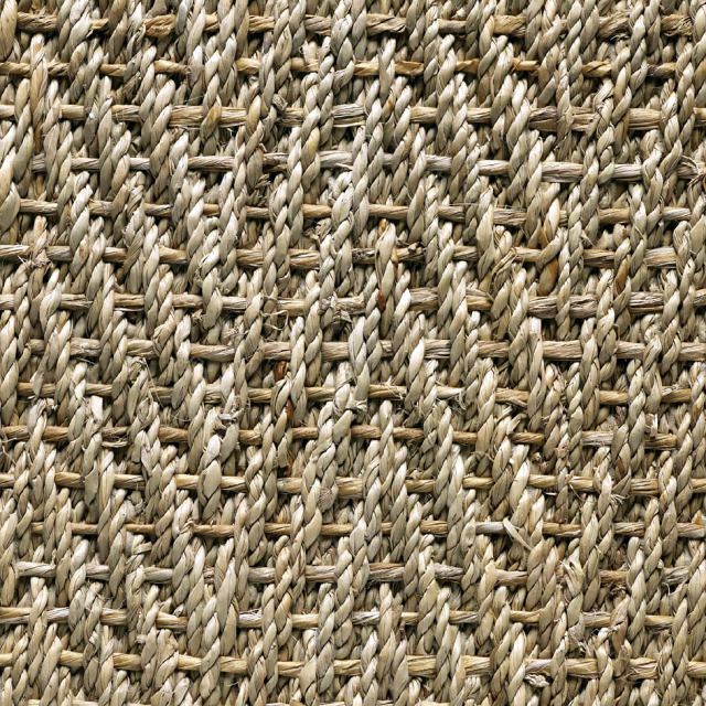 Foto Algas Turbot de Rugs & More International S.L. 171905 Habitissimo