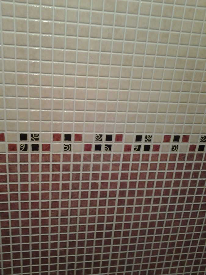 Alicatado pared baño