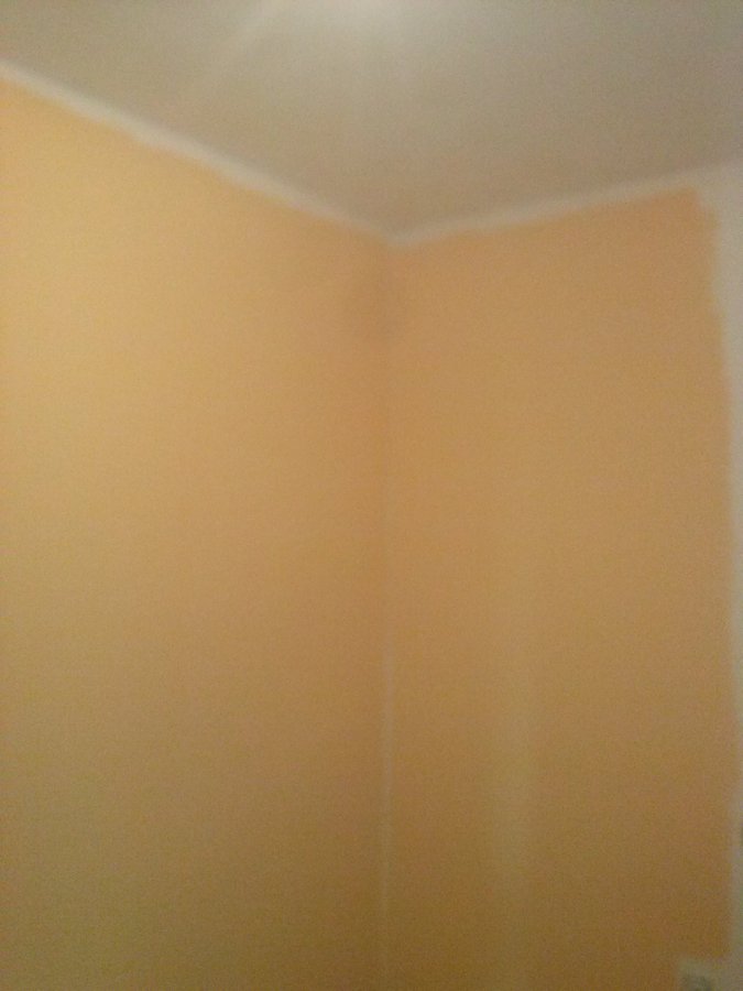 Alisado de pared de habitacion