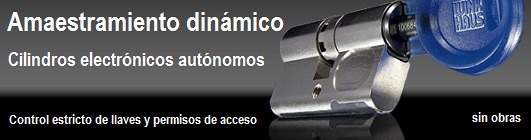 Amaestramiento dinámico con cilindros electrónicos autómomos