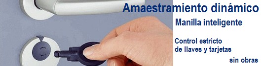 Amaestramiento dinámico con manillas inteligentes